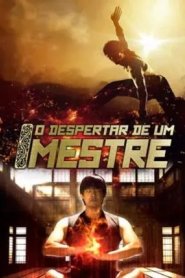 O Despertar de Um Mestre